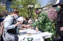 MARIHUANA NUEVA YORK