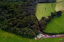 bosque