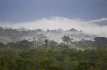 La región amazónica de Ecuador, que ocupa sus seis provincias orientales, y del noreste de Perú conforman un biocorredor megadiverso, donde viven unos 600.000 habitantes y existen, al menos, 30 pueblos y nacionalidades indígenas.