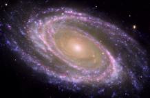 Ejemplo de galaxia espiral cercana M81, donde se identifica fácilmente el bulbo, la parte central más rojiza, y el disco, plagado de zonas donde se forman estrellas actualmente y aparecen como regiones azules formando brazos espirales.
