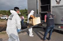 caso femicidio en el oro