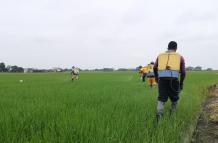 arroceros 2