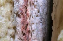 En la imagen, las marcas rojas encontradas en una estalagmita en la caverna de Ardales (en Málaga, España), que podrían ser las pinturas rupestres más antiguas del mundo conocidas hasta ahora.
