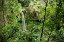 Biodiversidad