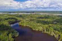 Parque Nacional Yasuní