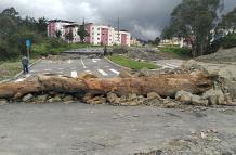 Cambio climático_CAF_Loja_Portoviejo,Santa CRuz
