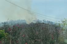 Incendio Forestal en Cerro Colorado  1