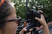 AVISTAMIENTO U OBSERVA (4975429)