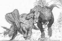 Representación de un Tyrannosaurus imperator que ataca a una manada del contemporáneo Triceratops horridus.