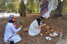 peruano matrimonio arbol
