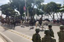 cabalgata