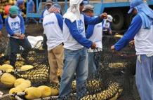 redes pesca