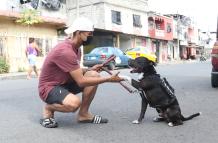 Bruno