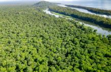 Fotografía aérea del Parque Nacional Tortuguero, en Costa Rica, en una fotografía de archivo.