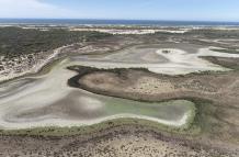 La laguna permanente más grande del Parque Nacional de Doñana (suroeste de España), ha terminado por secarse completamente por la falta de lluvia, el calor y la sobreexplotación del acuífero.