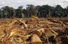 Dato. El análisis enumera los cantones donde más se evidencia la problemática ambiental.