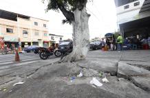 Arbol rompe acera en calle Huancavilca