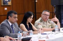 Seguridad- armas- debate