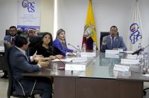 CPCCS- PUGNA- candidatos