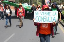 firmas consulta popular choco andino