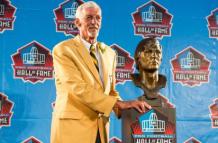 Ray Guy NFL
