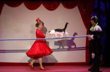 Sociedad_Mascotas_Gatos