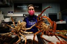 dos ejemplares de centollo.