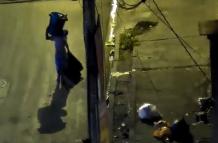 basura ciudad