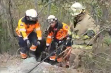 bomberos