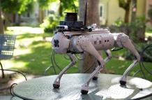 perro robot
