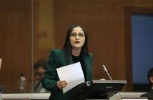 VIVIANA VELOZ_DEROGATORIA LEY TRIBUTARIA