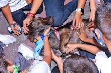 Sociedad_Oenegés_Hogar Inés Chambers