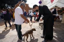 Sociedad_Mascotas_México