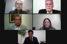 Reunión virtual de algunos integrantes del CNE.