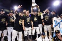 Leones Venezuela