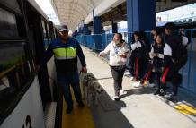 Perros- seguridad- transporte