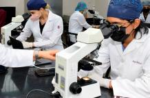 Laboratorio UEES