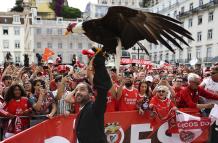 Benfica campeón 2023