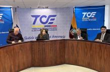 TCE- Hervas- elecciones