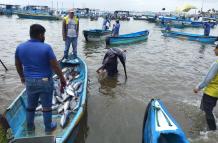 pesca