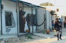 Actualidad_Violencia urbana_Sicariato