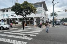 guayacanes