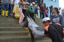 Intercultural_Santa Elena_Santa Rosa