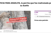 Caso de Maltrato Animal en Ecuador