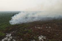 Bolivia pide ayuda a Brasil, Chile, Francia y Venezuela para contener los incendios forestales