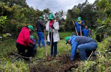 Ambiental - voluntariado laboral