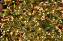 Luces de árbol navideño