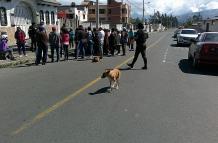 Perros en vigilancia- Ambato