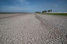 La crisis climática fue la principal impulsora de la sequía en la Amazonía en 2023