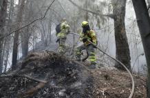 EE. UU., Chile, Perú y Canadá enviarán ayuda contra los incendios en Colombia
